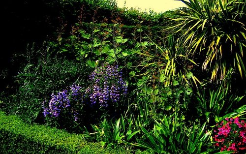 Arundel Castle Gardens