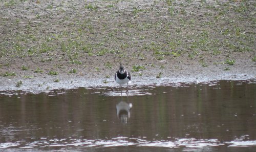 Titchwell Marsh Nature Reserve