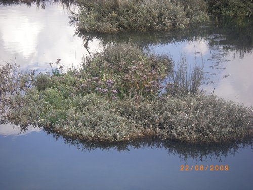 Titchwell Marsh Nature Reserve