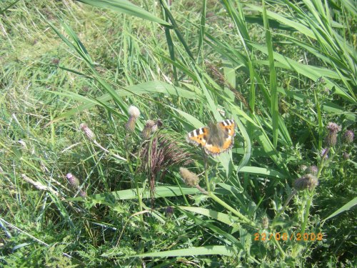 Titchwell Marsh Nature Reserve