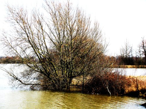 Harleston Lakes