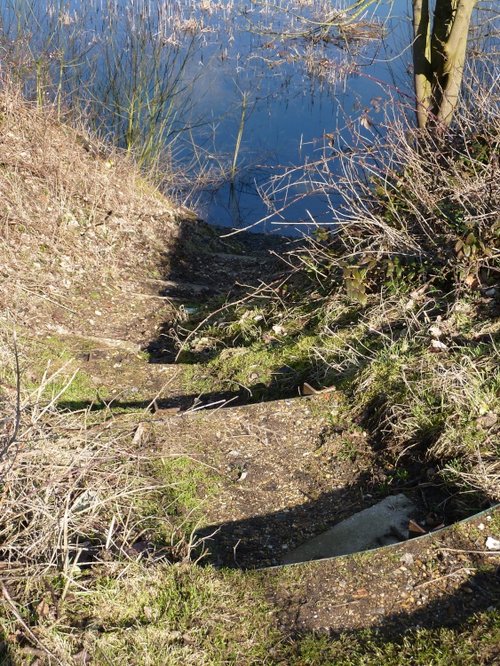 Harleston Lakes