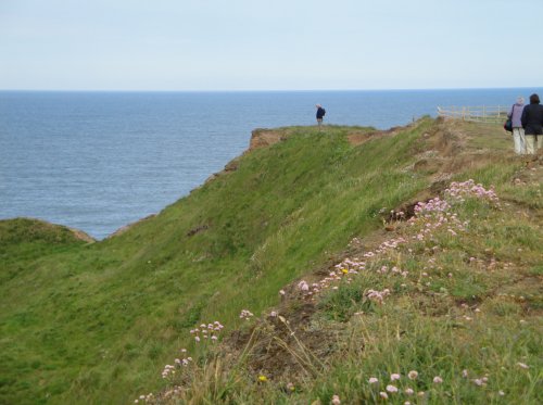 Flamborough Head