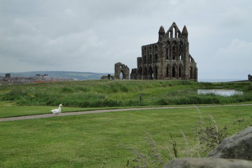 Whitby Abbey