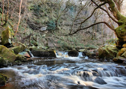 North Yorkshire Moors 6