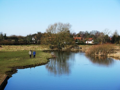 A peaceful afternoon stroll