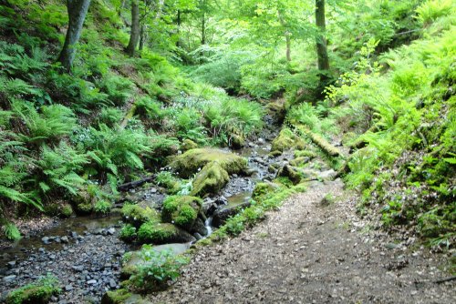 Along the footpath to High Force Waterfall