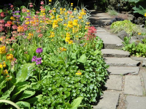 A sunny day in June at Newby Hall gardens