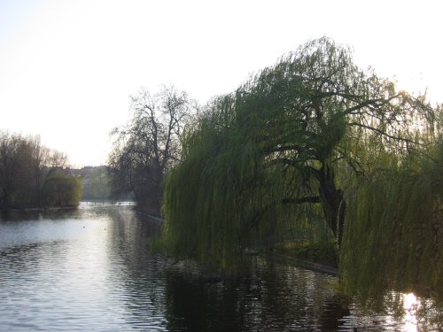 Regents Park