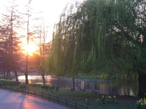 Regents Park