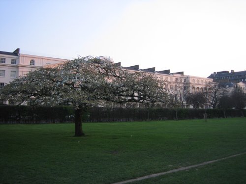 Regents Park