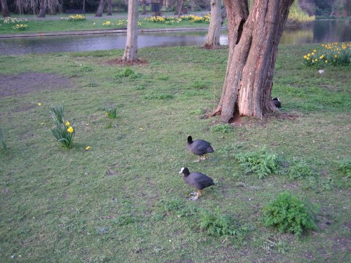 Regents Park