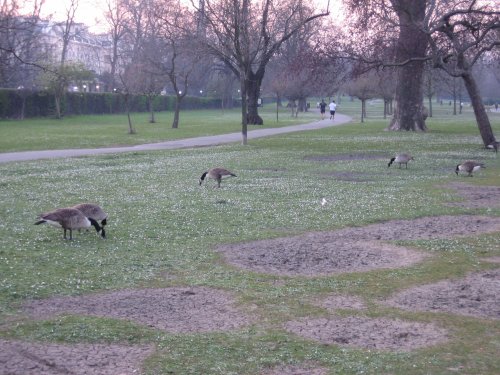 Regents Park