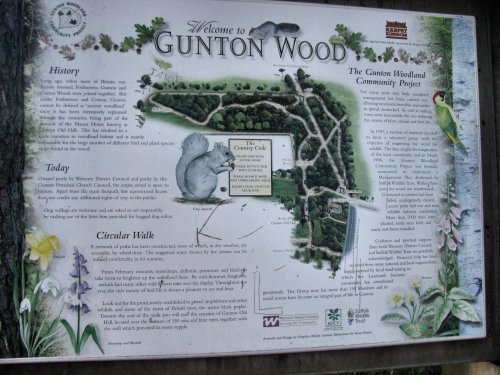 Info board for Gunton Wood