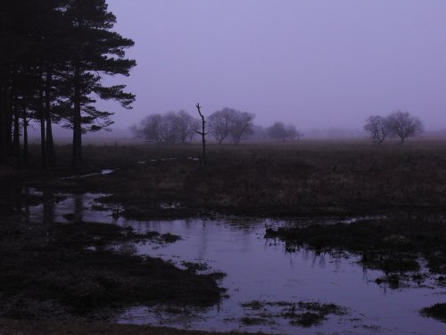 Misty evening near Puttles Bridge