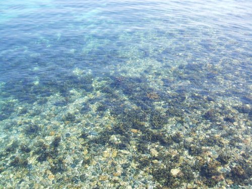 Clear water