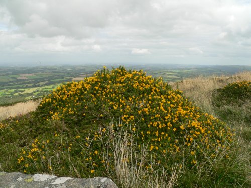 Dartmoor