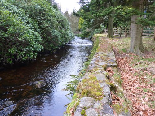 Langden Brook