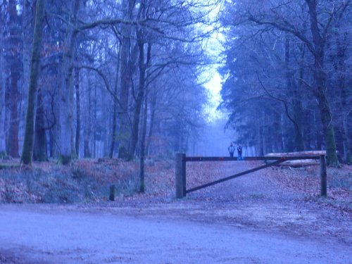 Standing on the gate