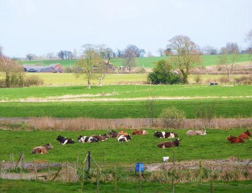 Having a rest at Henstead