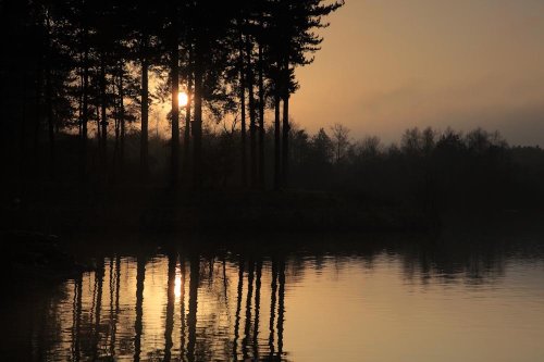 Wind ripples at Center Parcs