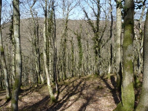 Quantock Hills