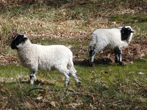 Quantock Hills