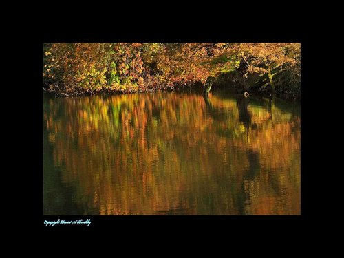 Autumn reflections at Welton