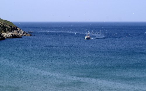 Fishing boat coming home.