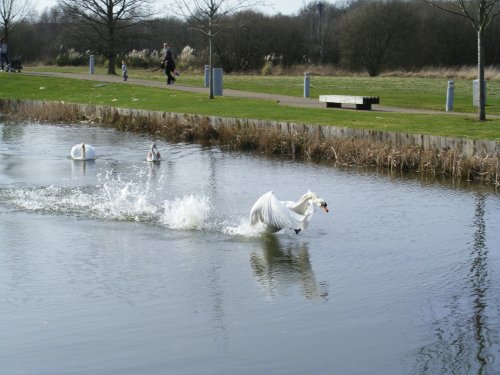 Whoops, another dodgy landing