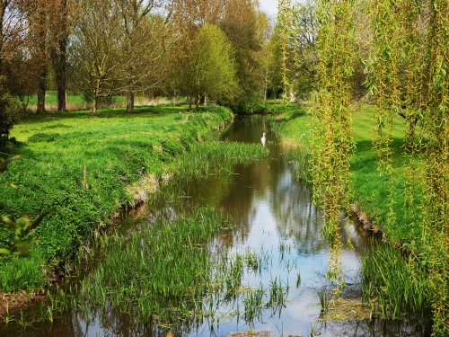 By the village pond