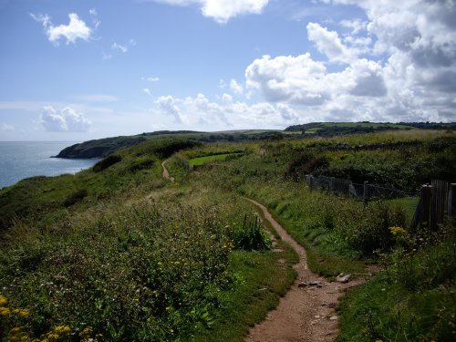 Cliff Path