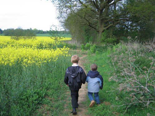 On a walk in Wheatley, Oxford