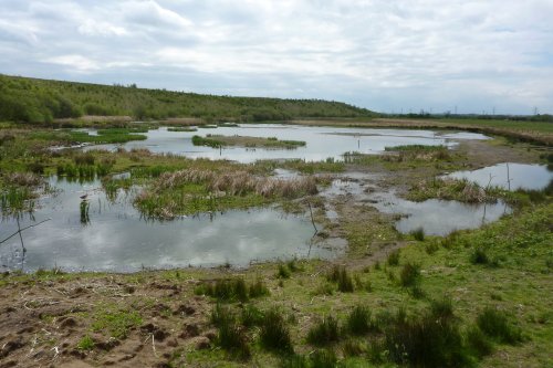 RSPB Fairburn Ings