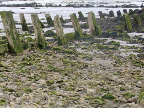 Humber Estuary 2