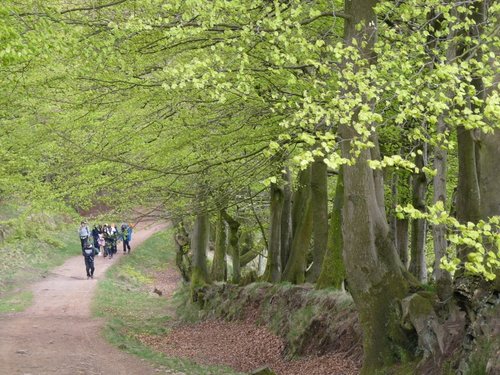 Quantock Hills