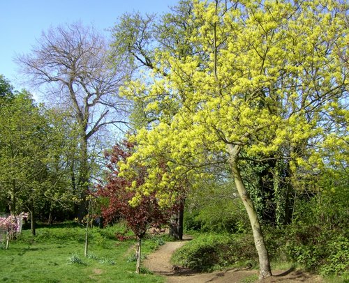 Clissold Park