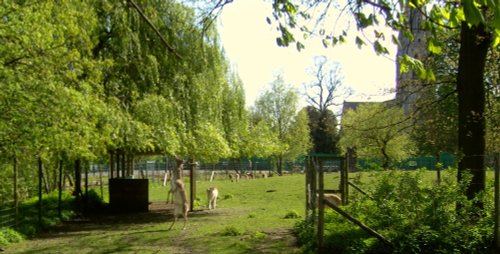 Clissold Park