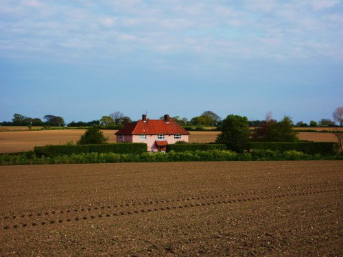 Pink house in the fields
