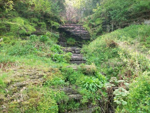 Rocks and wild shrubs