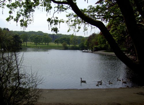 Boating Lake