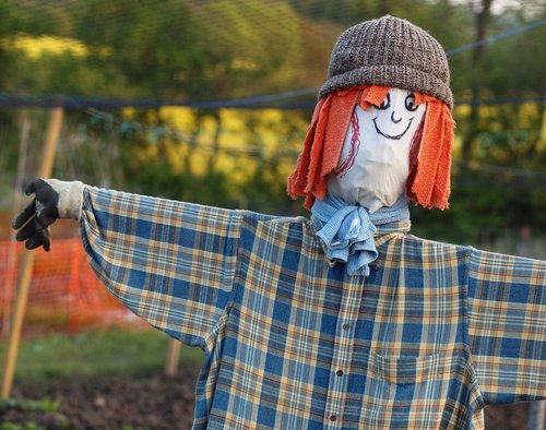 2010 model Scarecrow at Steeple Claydon allotments, Bucks