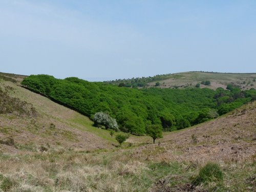 Quantock Hills