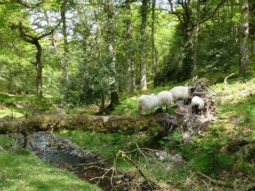 Quantock Hills