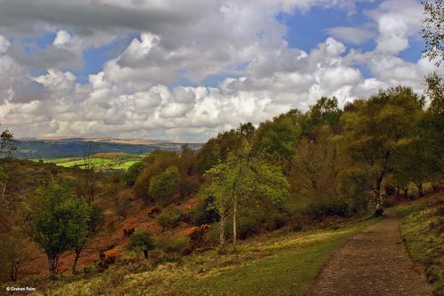 On the edge of Dartmoor