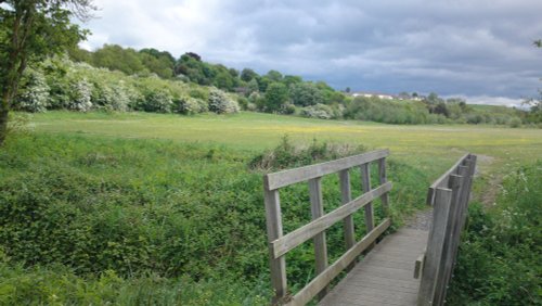 The Meadow, Willington