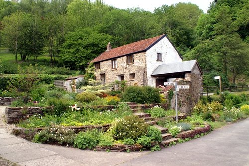 Cottage and garden.