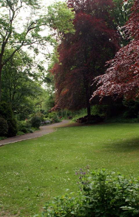 The path to the herb garden.