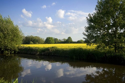 Canal south of Fradley Junction