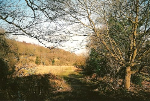 February Rowlands Gill